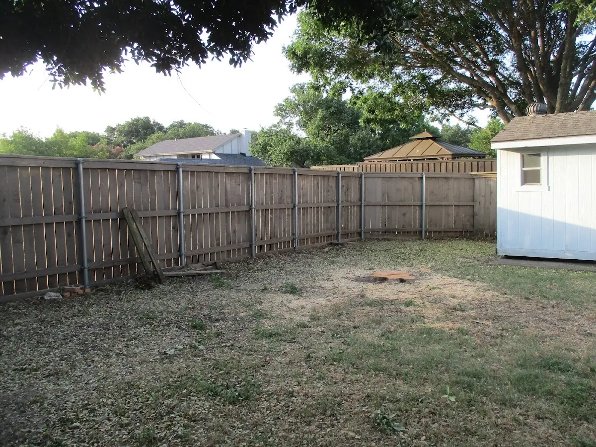 Cleared yard after professional tree removal in Mariah Hill