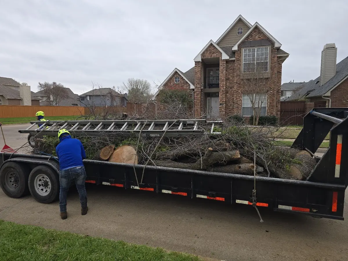 Expert Lot Clearing with proper safety equipment in Mariah Hill
